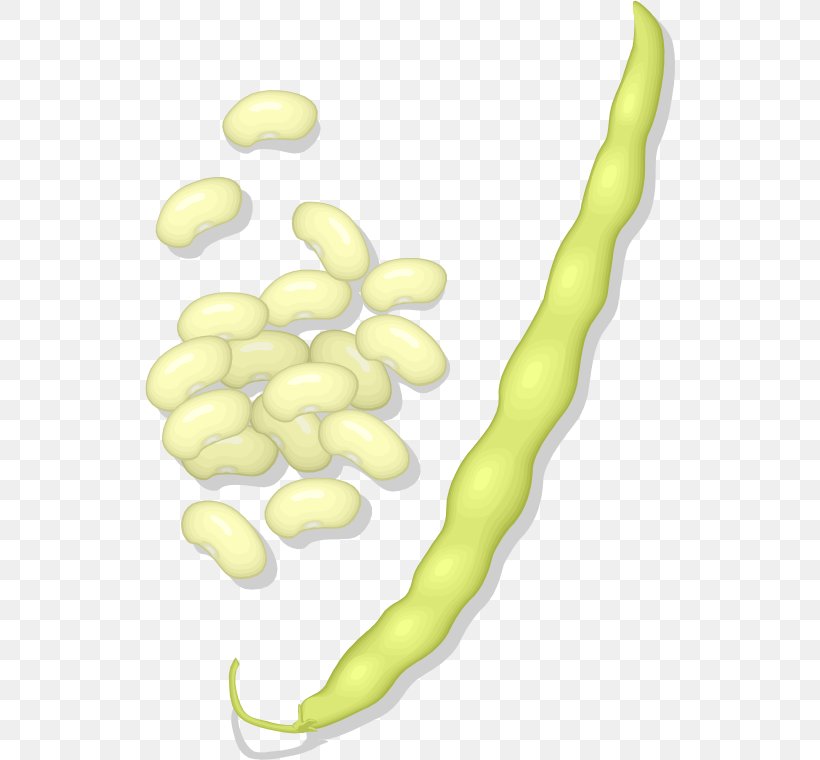 Bean Clip Art, PNG, 530x760px, Bean, Commodity, Drawing, Food, Fruit Download Free