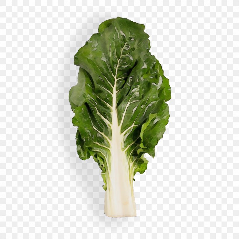 Leaf Vegetable Leaf Chard Vegetable Cruciferous Vegetables, PNG, 1000x1000px, Watercolor, Chard, Collard Greens, Cruciferous Vegetables, Flower Download Free