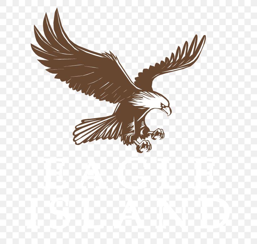 Bald Eagle Drawing, PNG, 700x778px, Bald Eagle, Accipitriformes, Beak, Bird, Bird Of Prey Download Free