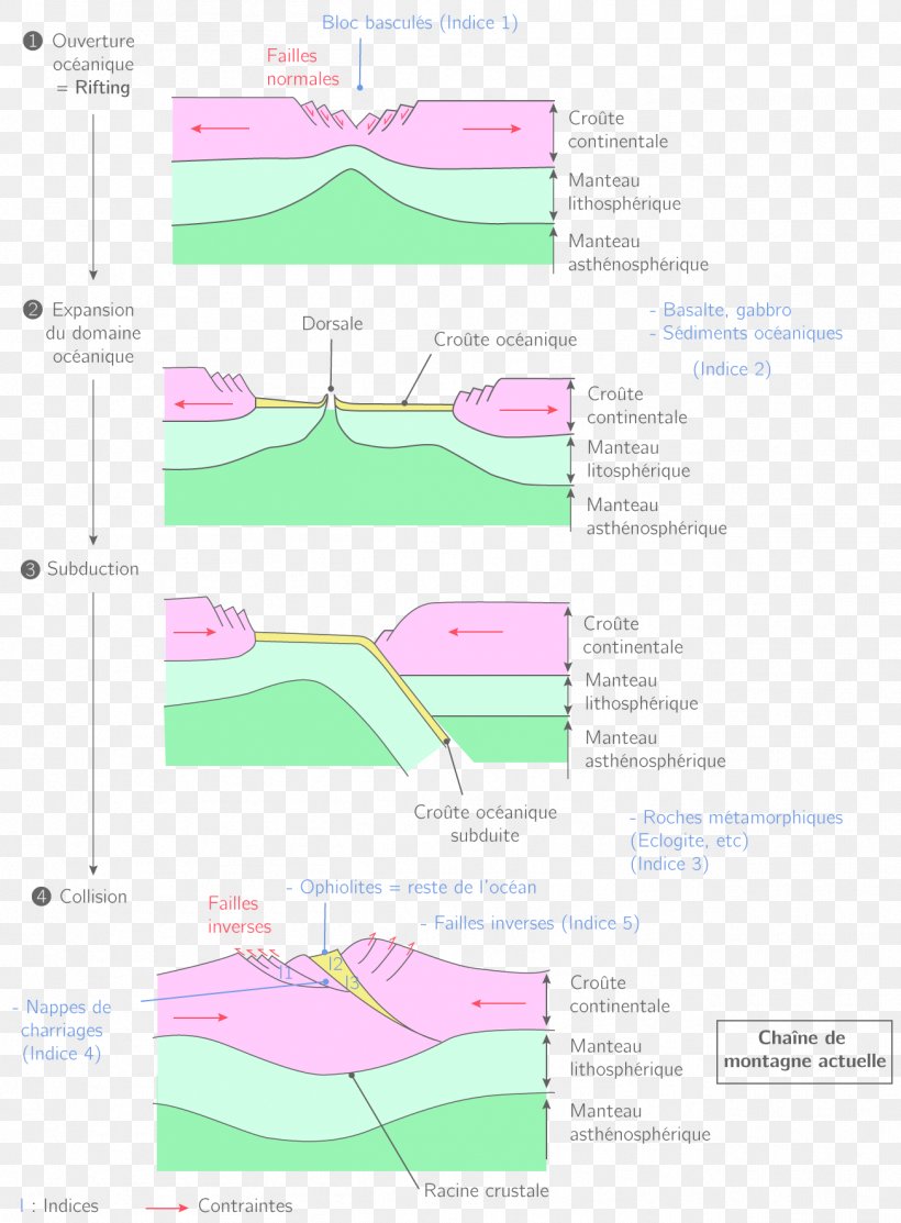 Product Design Diagram Line Angle, PNG, 1304x1771px, Diagram, Area, Pink, Pink M, Text Download Free