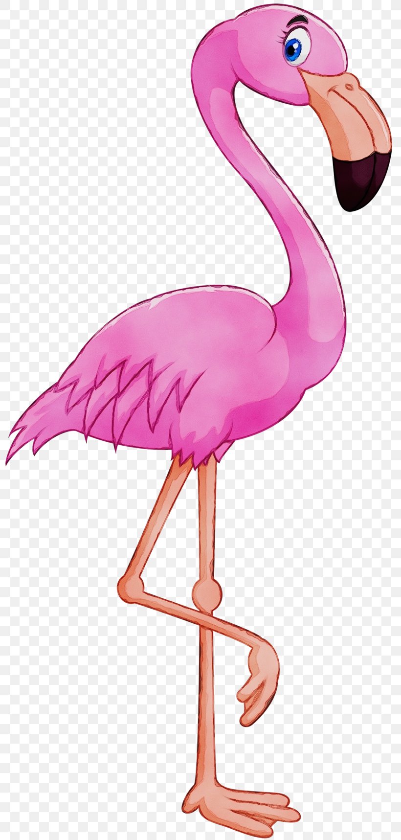 Flamingo Watercolor, PNG, 800x1717px, Watercolor, Animation, Beak, Bird, Flamenco Download Free