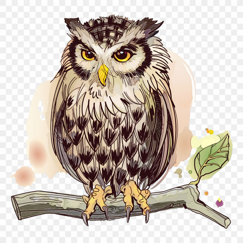 Owl Bird Bird Of Prey Beak Falconiformes, PNG, 2000x2000px, Owl, Beak, Bird, Bird Of Prey, Cartoon Download Free