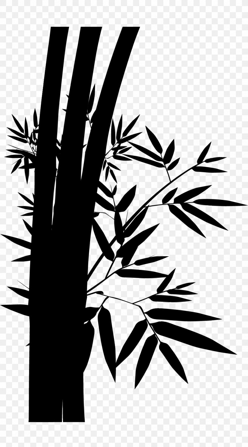 Bamboo Tea Image Design Photograph, PNG, 1040x1870px, Bamboo, Art, Blackandwhite, Botany, Branch Download Free