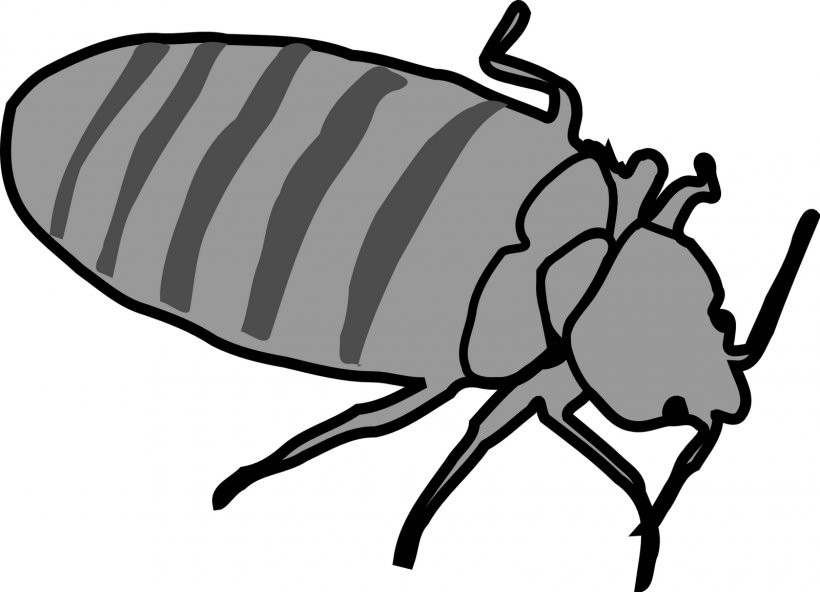 Bed Bug Bite Clip Art, PNG, 1600x1157px, Bed Bug, Artwork, Bed, Bed Bug Bite, Bed Bug Control Techniques Download Free