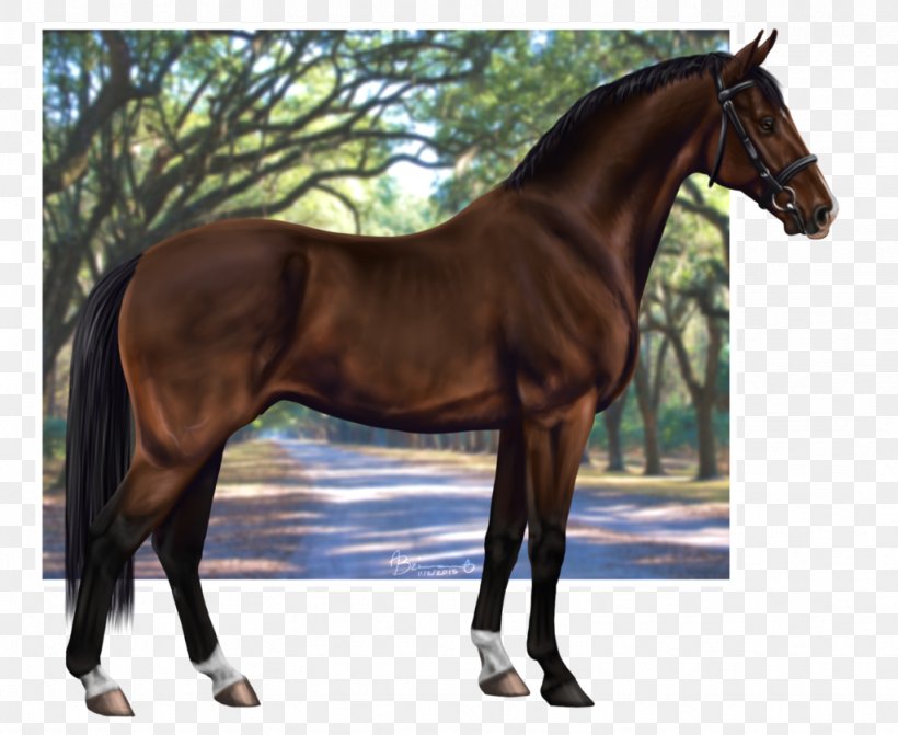 Stallion Mustang Rein Hunt Seat Mare, PNG, 1024x838px, Stallion, Bridle, Colt, Dog Harness, English Riding Download Free
