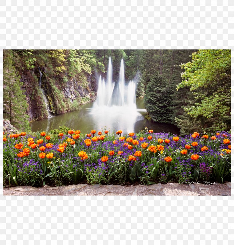Botanical Garden Water Resources Waterfall Lawn, PNG, 2083x2179px, Botanical Garden, Botany, Flora, Flower, Garden Download Free