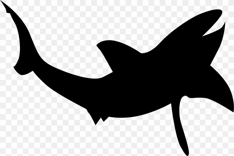 Shark Silhouette Clip Art, PNG, 1701x1135px, Shark, Beluga Whale, Black And White, Dolphin, Fish Download Free