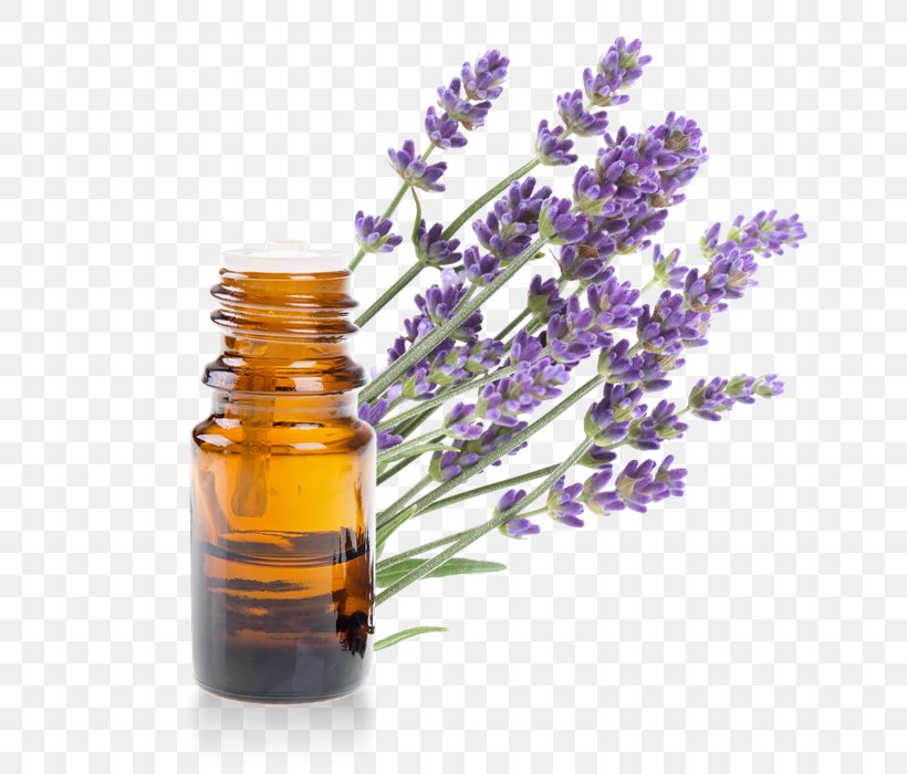 English Lavender Lavender Oil Essential Oil Provence, PNG, 700x700px, English Lavender, Aleppo Soap, Bottle, Distillation, Essential Oil Download Free