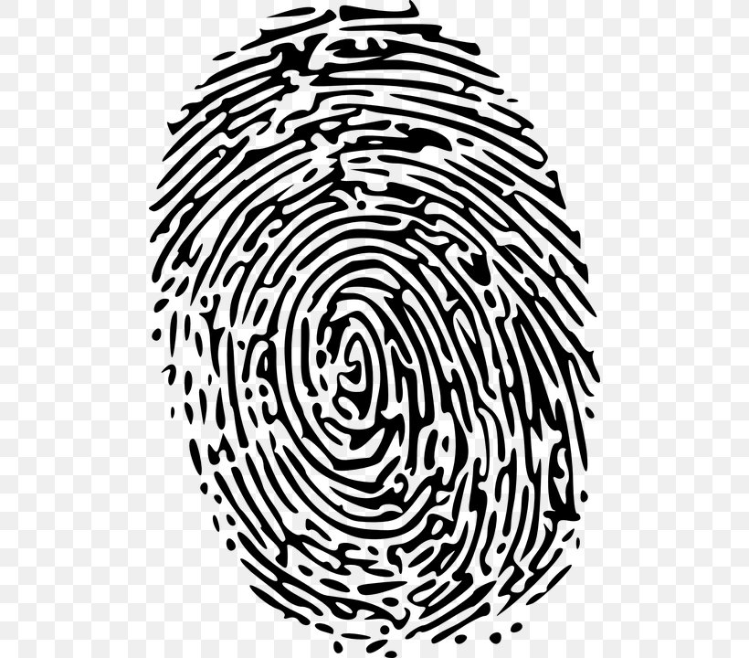 Fingerprint Detective Clip Art, PNG, 494x720px, Fingerprint, Area, Biometrics, Black And White, Device Fingerprint Download Free