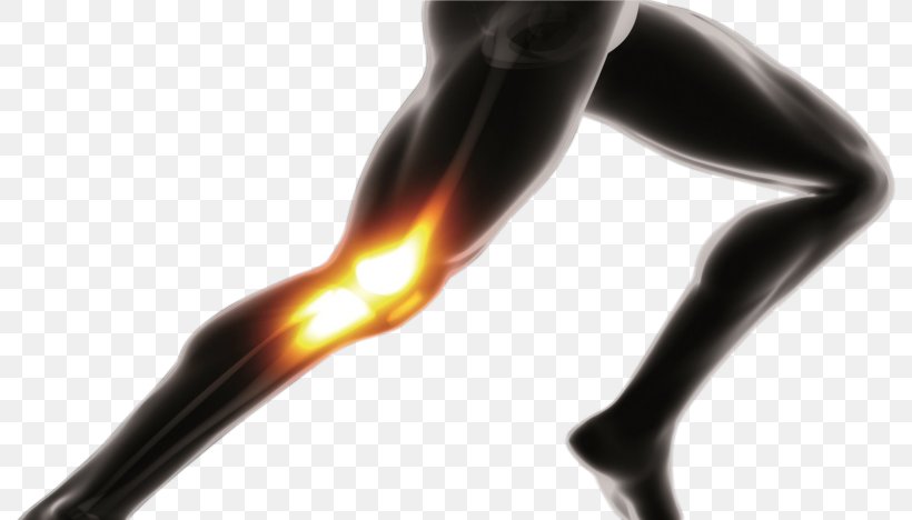 Knee, PNG, 792x468px, Knee, Human Leg, Joint, Muscle Download Free