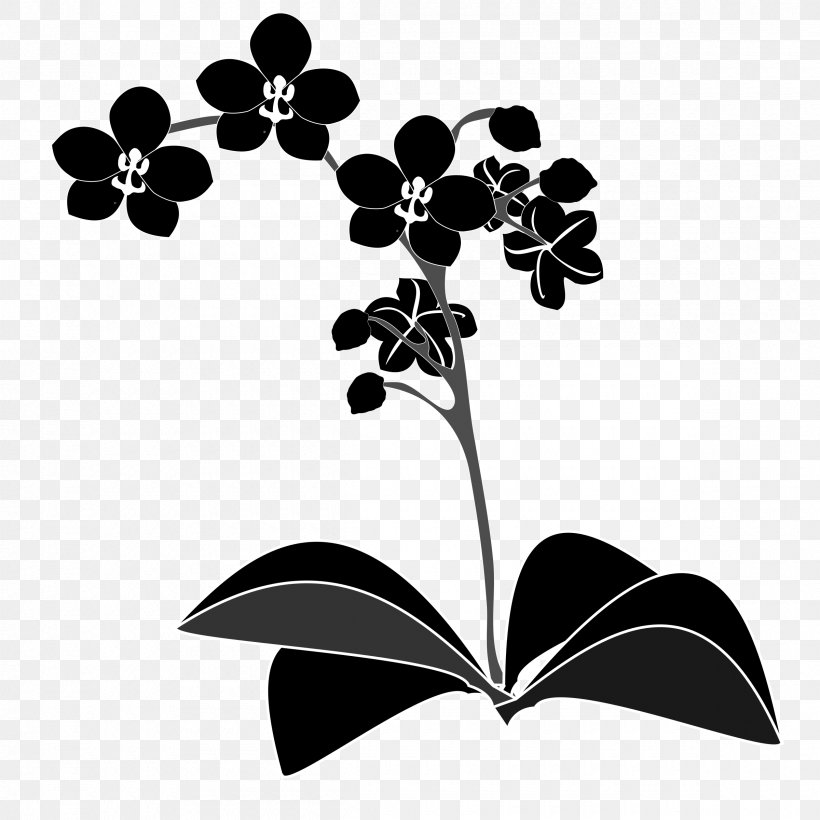 Orchids Clip Art, PNG, 2400x2400px, Orchids, Black And White, Branch, Flora, Flower Download Free