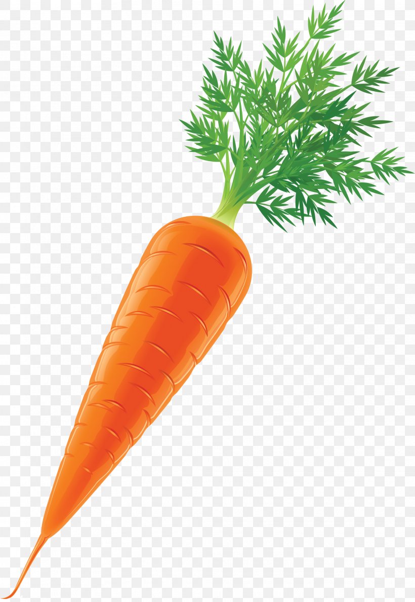 Carrot Vegetable Stock Clip Art, PNG, 2069x3000px, Carrot, Baby Carrot, Carotene, Food, Natural Foods Download Free
