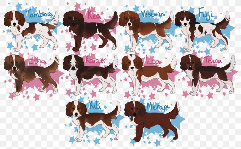 American Pit Bull Terrier Great Dane Breed, PNG, 1600x990px, American Pit Bull Terrier, Breed, Bull Terrier, Carnivoran, Dog Download Free