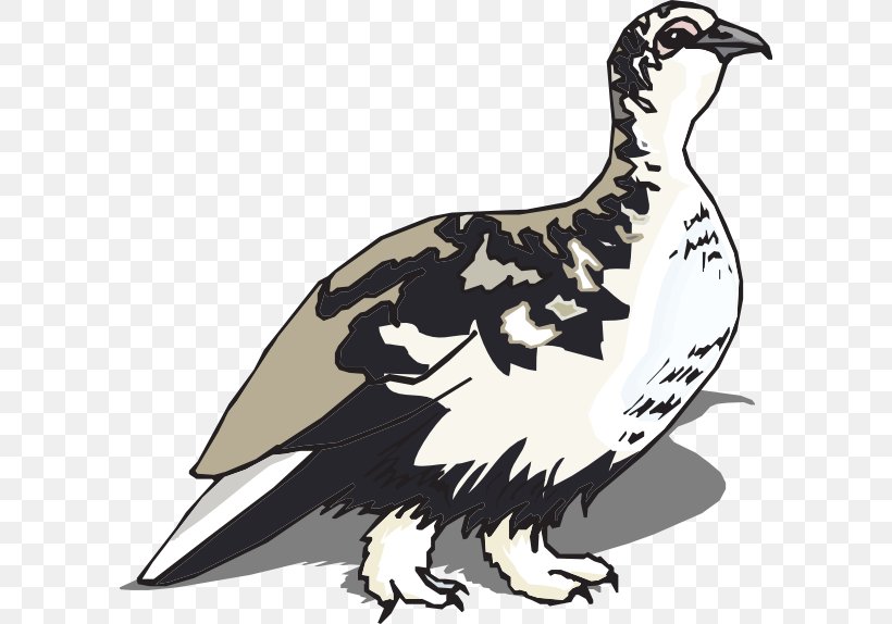 Clip Art, PNG, 600x574px, Whitetailed Ptarmigan, Beak, Bird, Bird Of Prey, Chicken Download Free