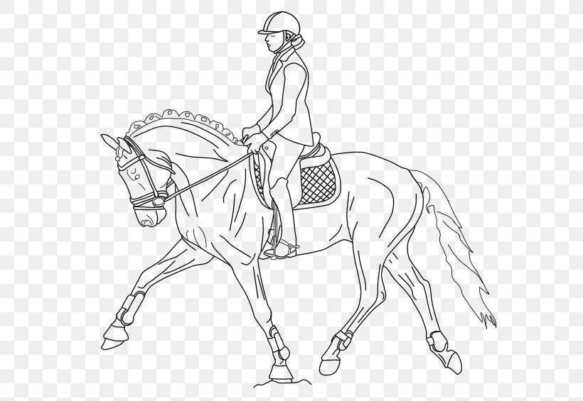 Dutch Warmblood Bridle Dressage Equestrian Coloring Book, PNG, 800x565px, Dutch Warmblood, Animal Figure, Arm, Artwork, Bit Download Free