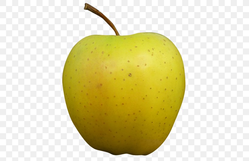 Golden Apple Golden Delicious Gala Red Delicious, PNG, 500x532px, Apple, Diet Food, Food, Fruit, Gala Download Free