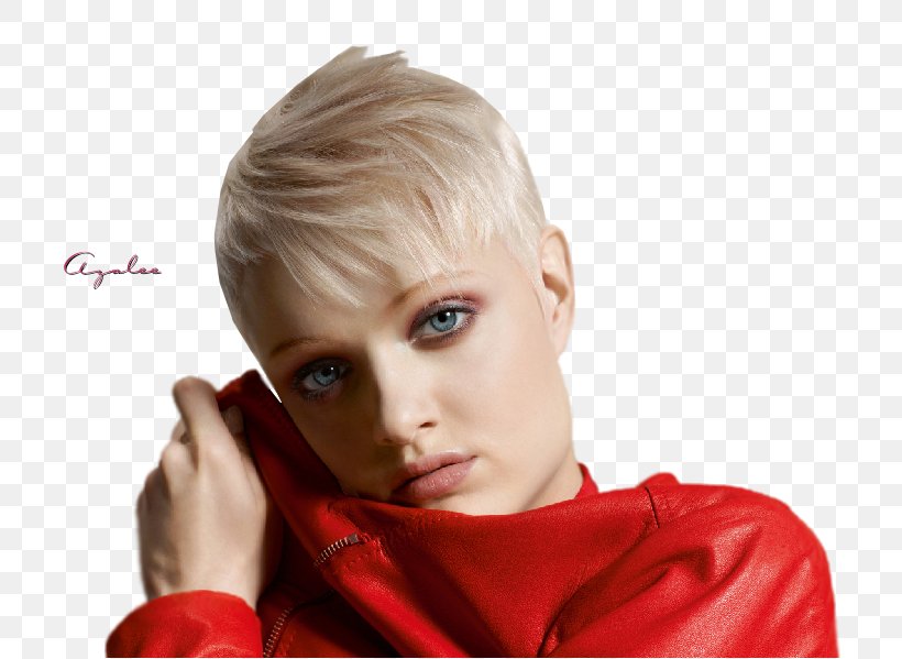 Hairstyle Blond Fashion Hair Coloring, PNG, 800x599px, Hairstyle, Beauty, Blond, Brown Hair, Capelli Download Free