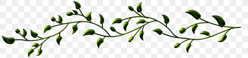 Interflora Bossez Fleurs Membre Genealogy Leaf Branch 0, PNG, 1200x285px, 2018, Genealogy, Branch, Calligraphy, Commodity Download Free