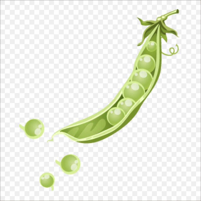 Netherlands Snow Pea Icon, PNG, 1773x1773px, Netherlands, Common Bean, Fruit, Grass, Green Download Free