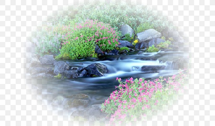 Paradise River Desktop Wallpaper Nature Landscape, PNG, 640x480px, Nature, Computer, Flora, Ganges, Grass Download Free