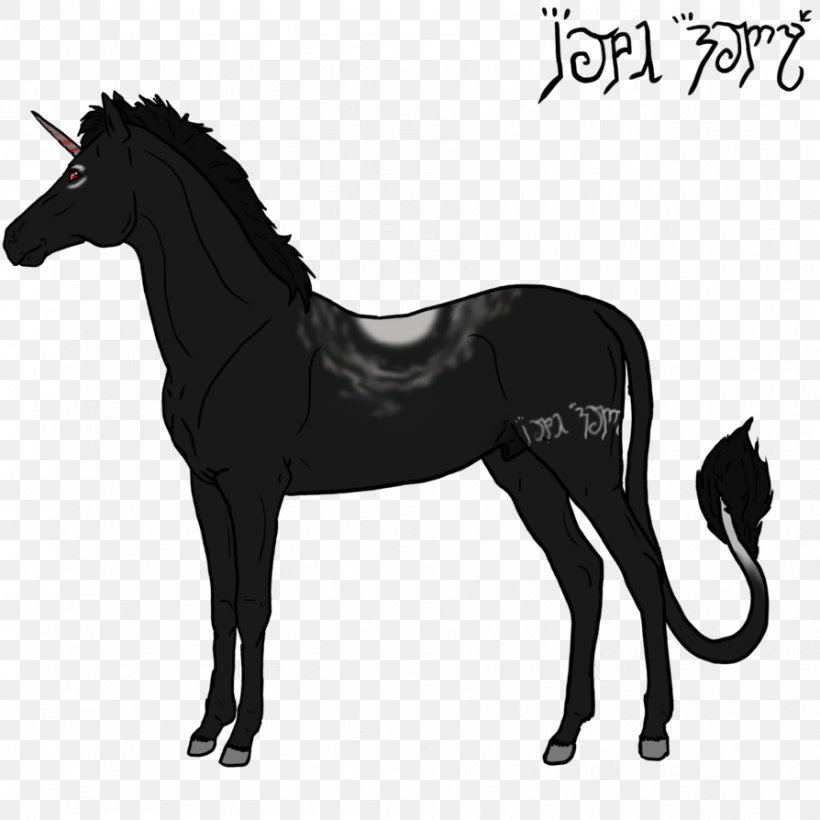 Foal Stallion Mane Mustang Mare, PNG, 894x894px, Foal, Black And White, Bridle, Colt, Fictional Character Download Free