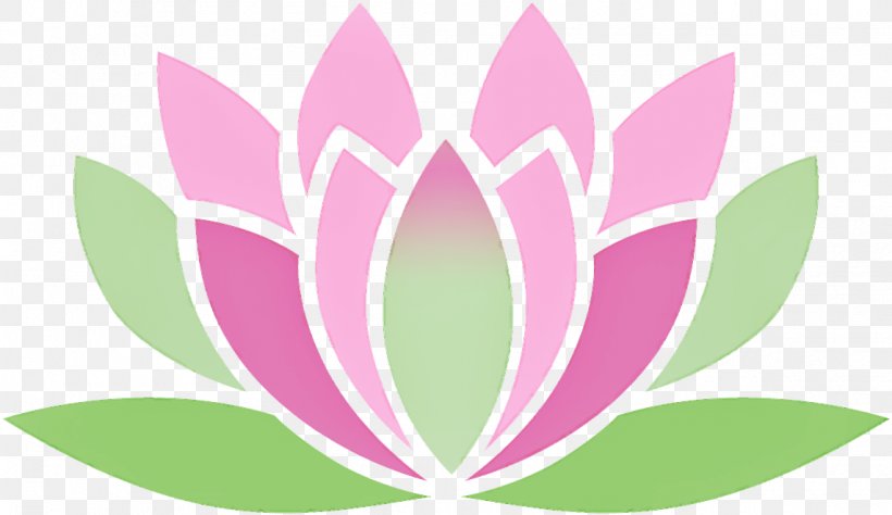 Lotus, PNG, 1143x661px, Pink, Flower, Green, Leaf, Lotus Download Free