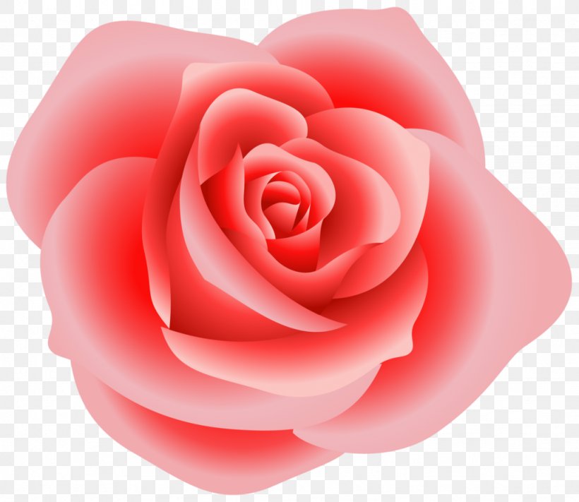 Rose Pink Clip Art, PNG, 1024x888px, Rose, Blog, China Rose, Close Up, Cut Flowers Download Free