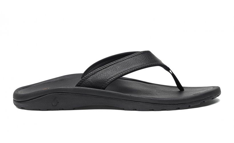 Slipper Sandal Shoe Slide Leather, PNG, 1600x980px, Slipper, Black ...