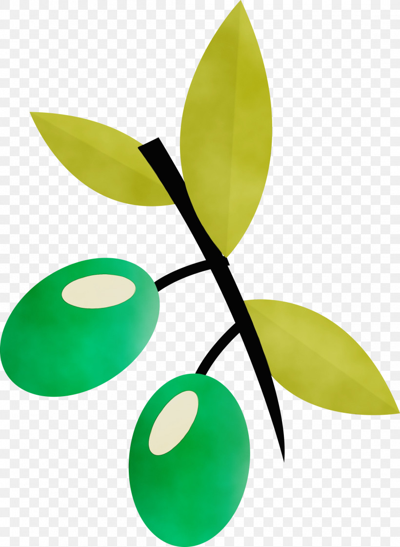 Fruit Leaf Vegetable Logo Green Leaf, PNG, 2193x3000px, Watercolor, Fruit, Grape, Green, Highheeled Shoe Download Free
