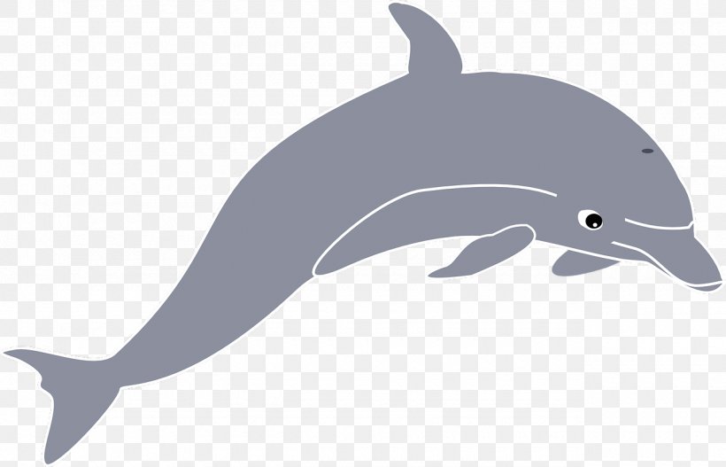Spinner Dolphin Common Bottlenose Dolphin Clip Art, PNG, 1280x824px, Spinner Dolphin, Beak, Bottlenose Dolphin, Cetacea, Common Bottlenose Dolphin Download Free