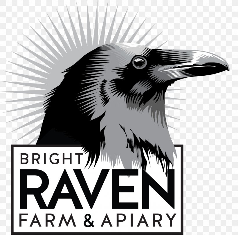 Birthday Cake Raven Energy ASX:REL Bright Raven Farm Education Center, PNG, 1399x1384px, Birthday Cake, Advertising, Anniversary, Australian Securities Exchange, Beak Download Free