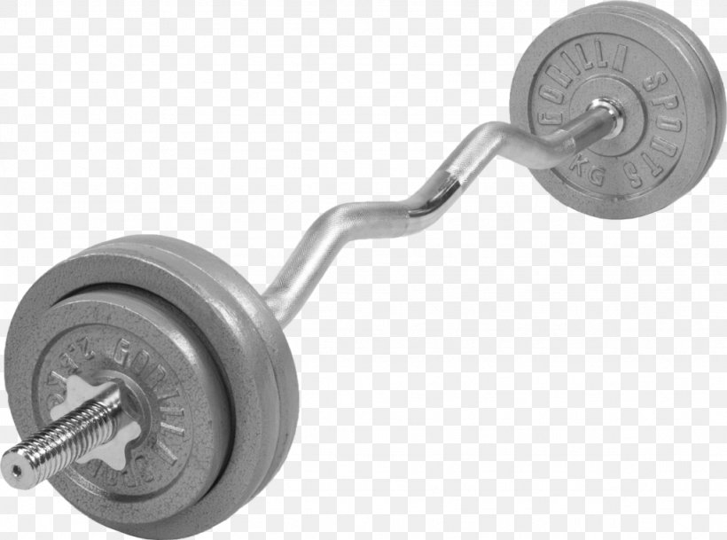 Dumbbell Gorilla Barbell Millimeter Cast Iron, PNG, 1024x761px, Dumbbell, Barbell, Biceps Curl, Bodypump, Cast Iron Download Free