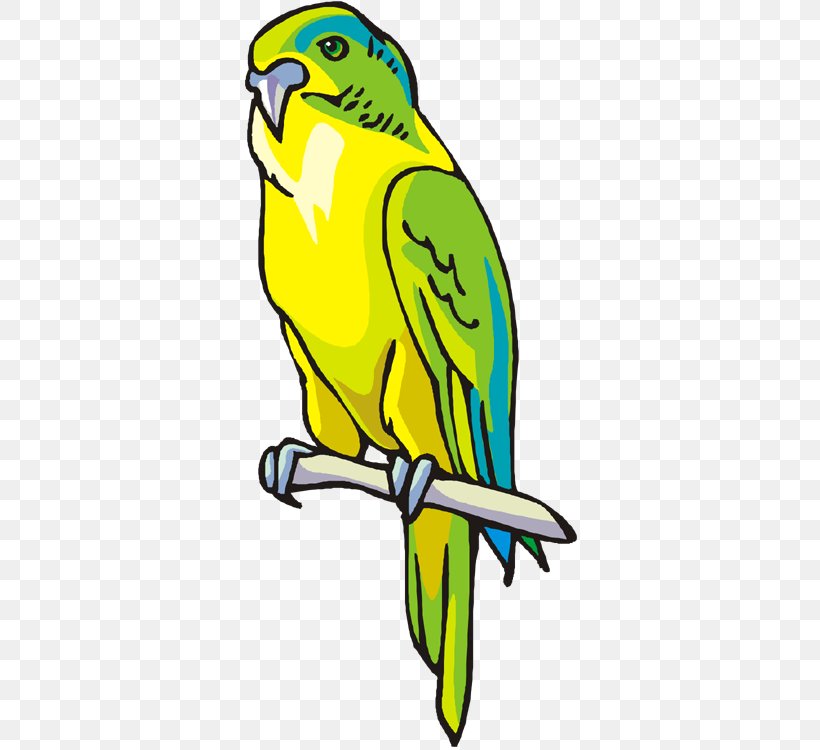 Budgerigar Macaw Parrot Parakeet Clip Art, PNG, 336x750px, Budgerigar, Artwork, Beak, Bird, Bluecrowned Parakeet Download Free