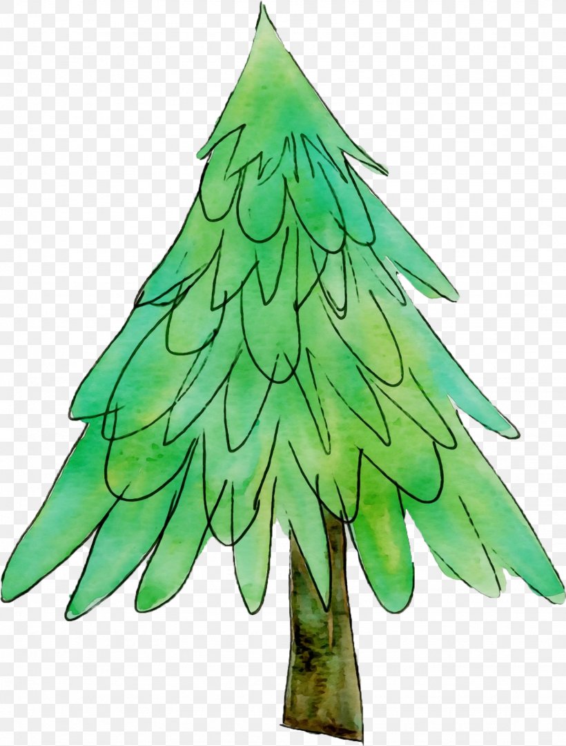 Christmas Tree, PNG, 1536x2026px, Watercolor, Christmas Decoration, Christmas Tree, Colorado Spruce, Evergreen Download Free