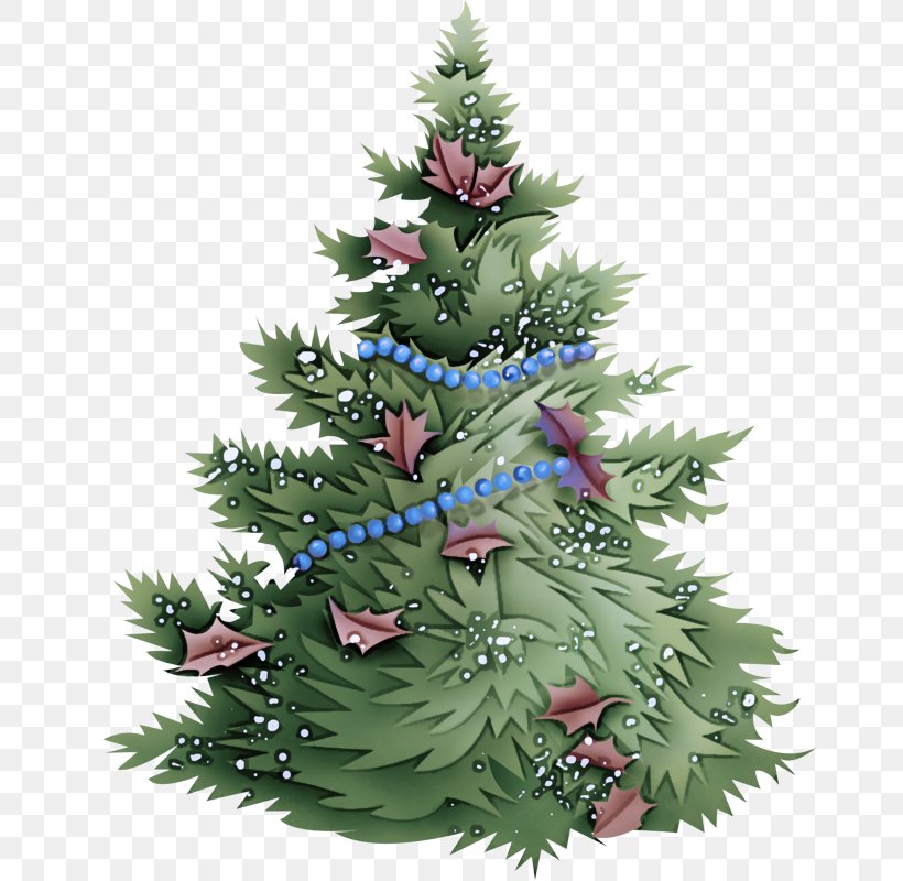 Christmas Tree, PNG, 664x800px, Shortleaf Black Spruce, Balsam Fir, Canadian Fir, Christmas Tree, Colorado Spruce Download Free