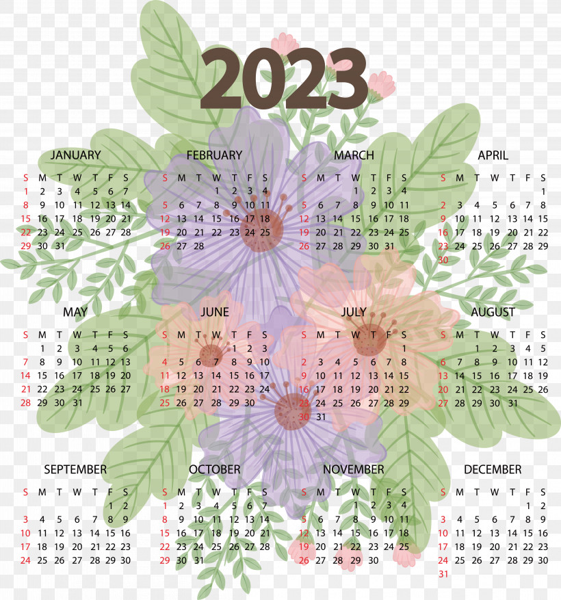 Flower Calendar Petal Pattern 2005, PNG, 4624x4949px, Flower, Biology, Calendar, Meter, Petal Download Free
