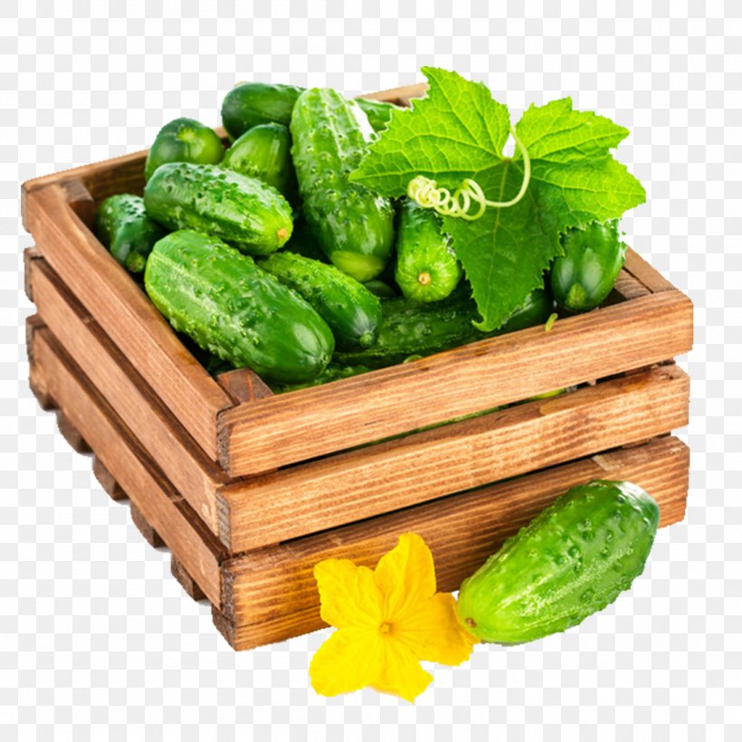 Flower Leaf Cucumber Wood Stock Photography, PNG, 1100x1100px, Flower, Berry, Can Stock Photo, Cruciferous Vegetables, Cucumber Download Free
