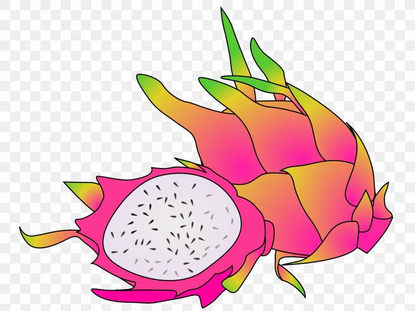 Fruit Pitaya Clip Art, PNG, 1979x1484px, Fruit, Artwork, Blog, Flower, Flowering Plant Download Free