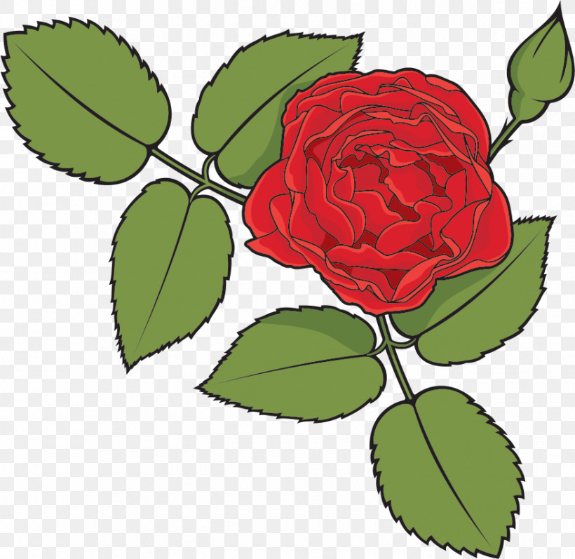 One Flower One Rose Valentines Day, PNG, 878x854px, One Flower, Bud, Camellia, China Rose, Floribunda Download Free