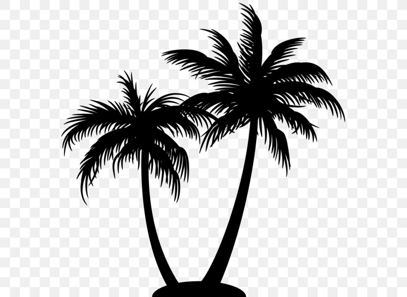 Silhouette Drawing Clip Art, PNG, 584x600px, Silhouette, Arecaceae, Arecales, Art, Black And White Download Free