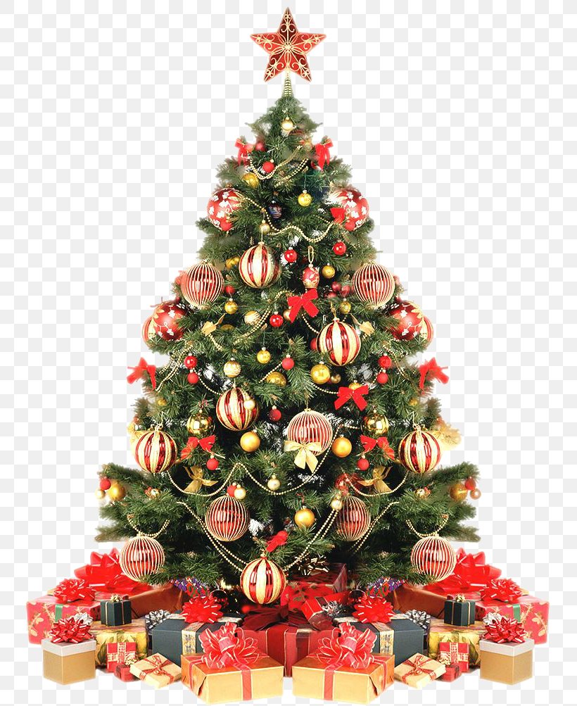 Christmas Decoration Christmas Tree Christmas Ornament, PNG, 746x1003px, Christmas Decoration, Artificial Christmas Tree, Christmas, Christmas Ornament, Christmas Tree Download Free