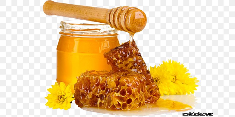 Honey Bee Breakfast Sugar Food, PNG, 676x408px, Honey, Bee, Beekeeper, Beekeeping, Breakfast Download Free