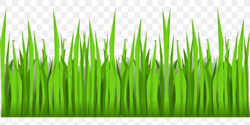 Lawn Clip Art, PNG, 1280x640px, Lawn, Chrysopogon Zizanioides, Commodity, Document, Field Download Free