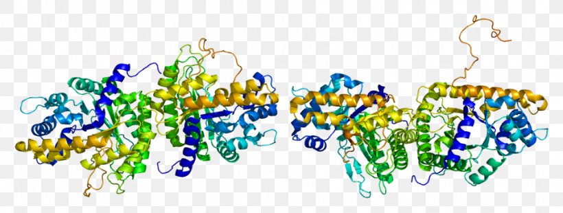 Aldolase B Fructose-bisphosphate Aldolase Fructose 1,6-bisphosphate Aldolase A Enzyme, PNG, 956x362px, Aldolase B, Aldolase A, Art, Catalysis, Chemical Reaction Download Free