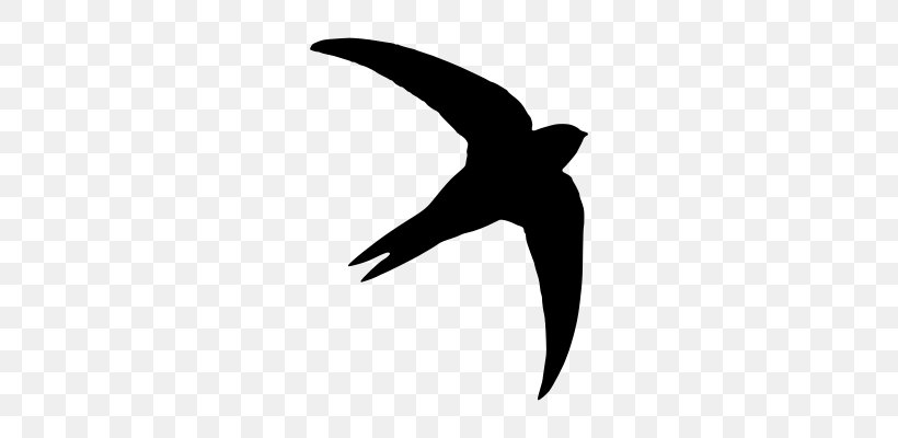 Common Swift Silhouette Bird, PNG, 400x400px, Common Swift, Beak, Bird, Black And White, Silhouette Download Free