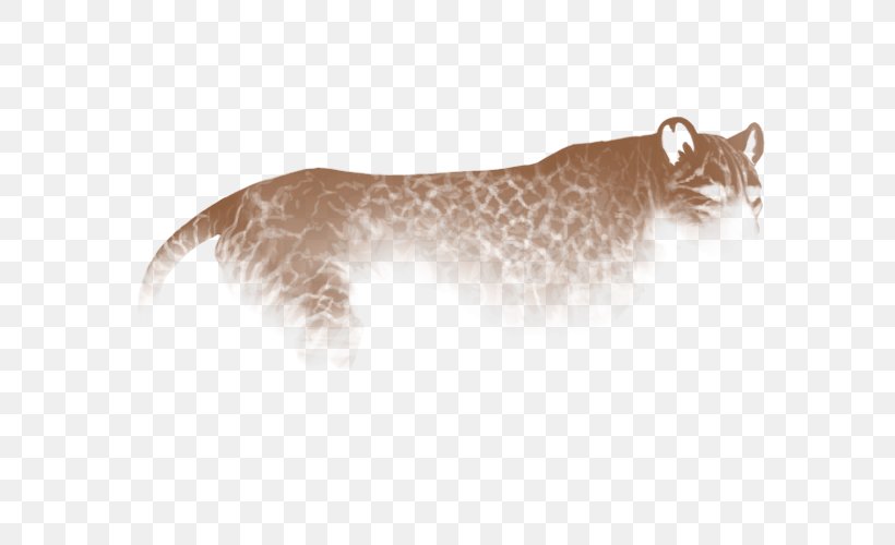 Cougar Bobcat Whiskers Wildcat, PNG, 640x500px, Cougar, Animal, Big Cat, Big Cats, Bobcat Download Free