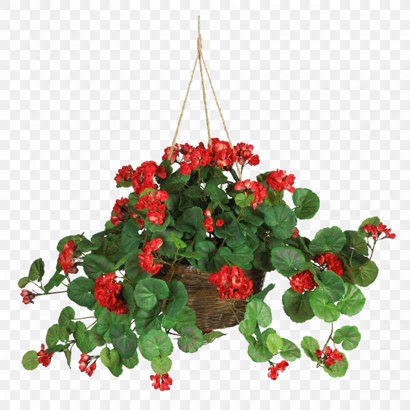 Crane's-bill Hanging Basket Plant Sweet Scented Geranium Silk, PNG, 3307x3307px, Hanging Basket, Bud, Christmas, Christmas Decoration, Christmas Ornament Download Free