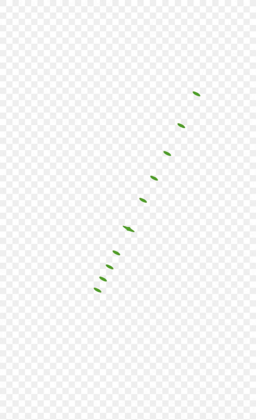 Line Point Angle, PNG, 1099x1800px, Point, Grass, Green, Text Download Free