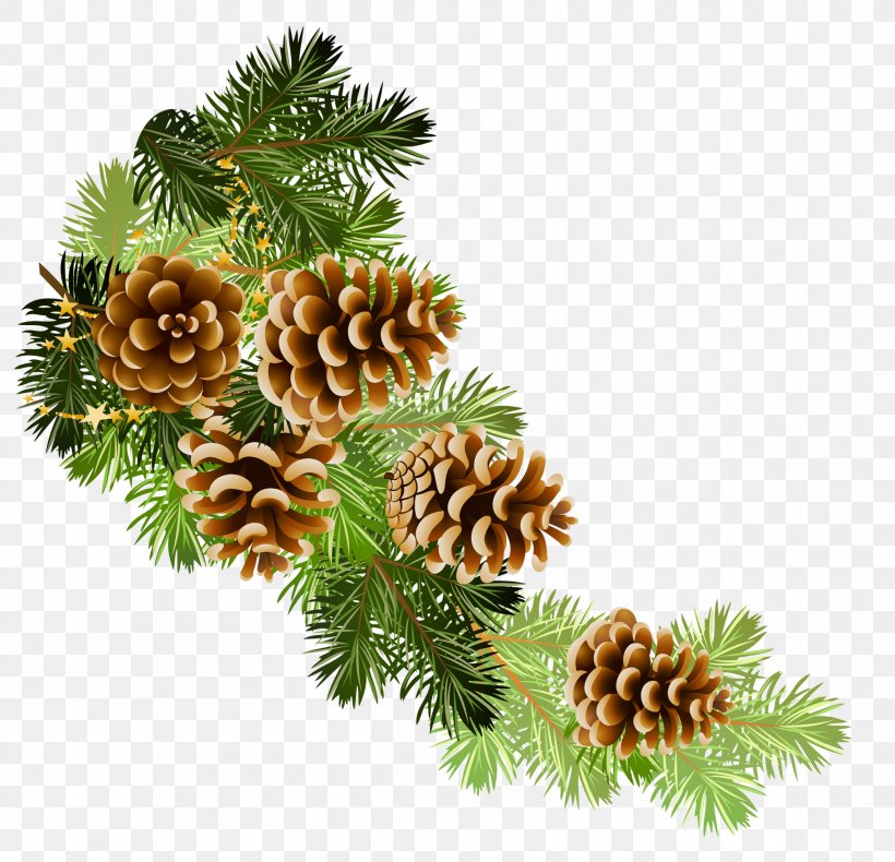 Scots Pine Conifer Cone Fir Clip Art, PNG, 2276x2195px, Scots Pine, Branch, Christmas, Christmas Decoration, Christmas Ornament Download Free