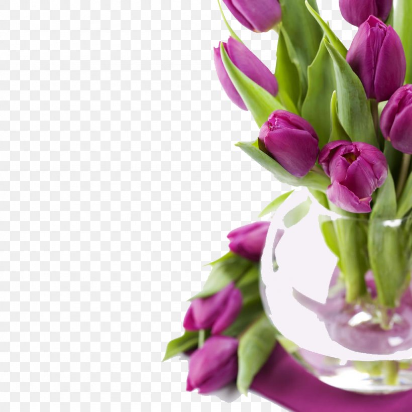 Tulip Flower High-definition Video Wallpaper, PNG, 1024x1024px, Tulip, Cut Flowers, Display Resolution, Floral Design, Floristry Download Free